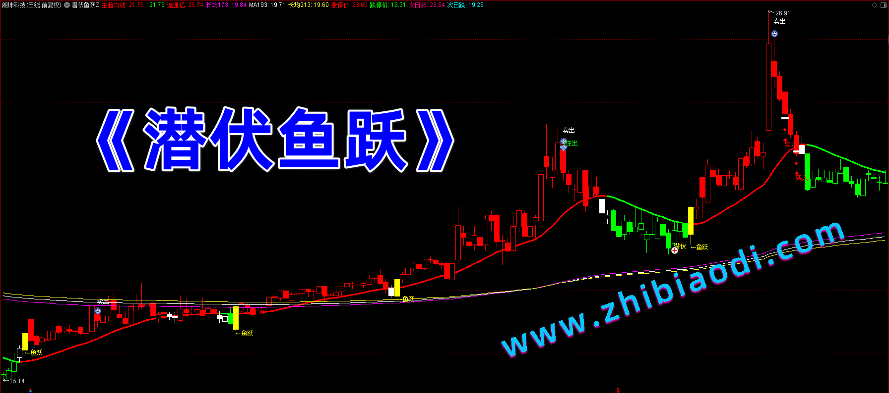 潜伏鱼跃指标 潜伏鱼跃指标