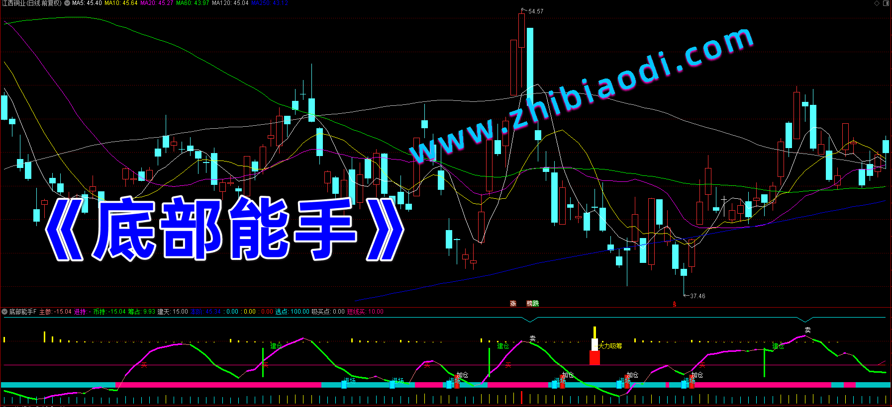 底部能手指标 底部能手指标