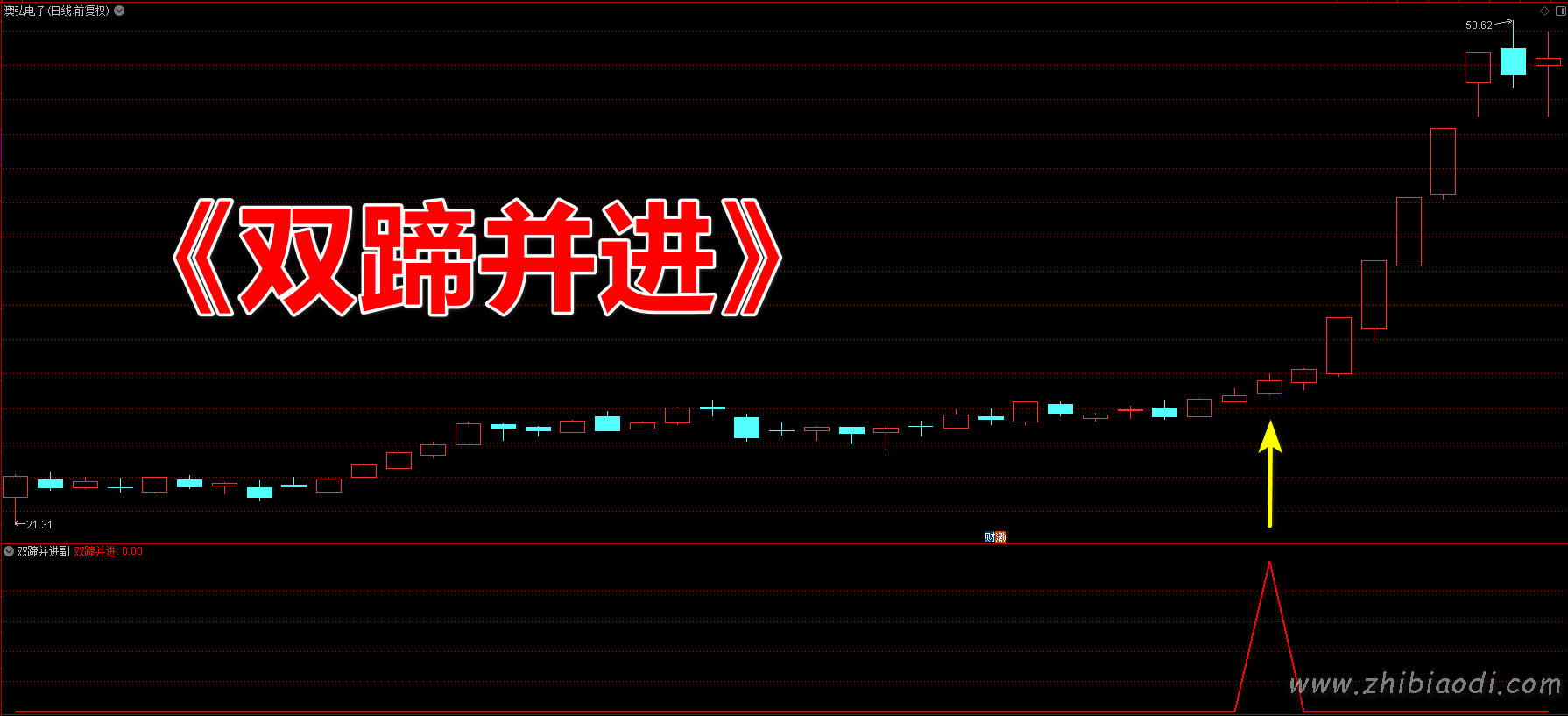 双蹄并进指标