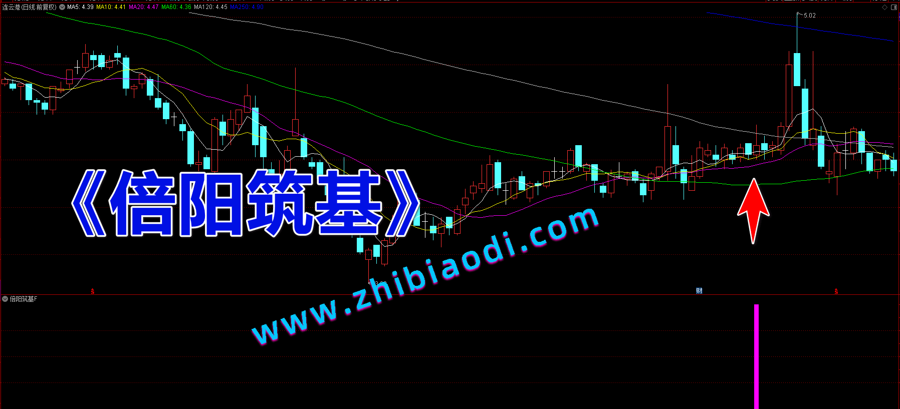 倍阳筑基指标 倍阳筑基指标