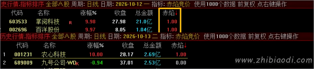 赤焰竞价指标