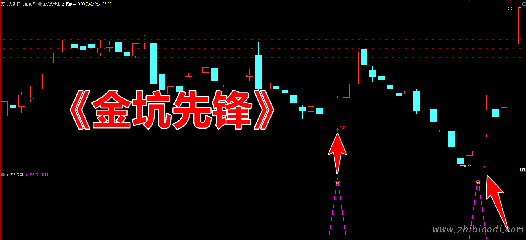 金坑先锋指标