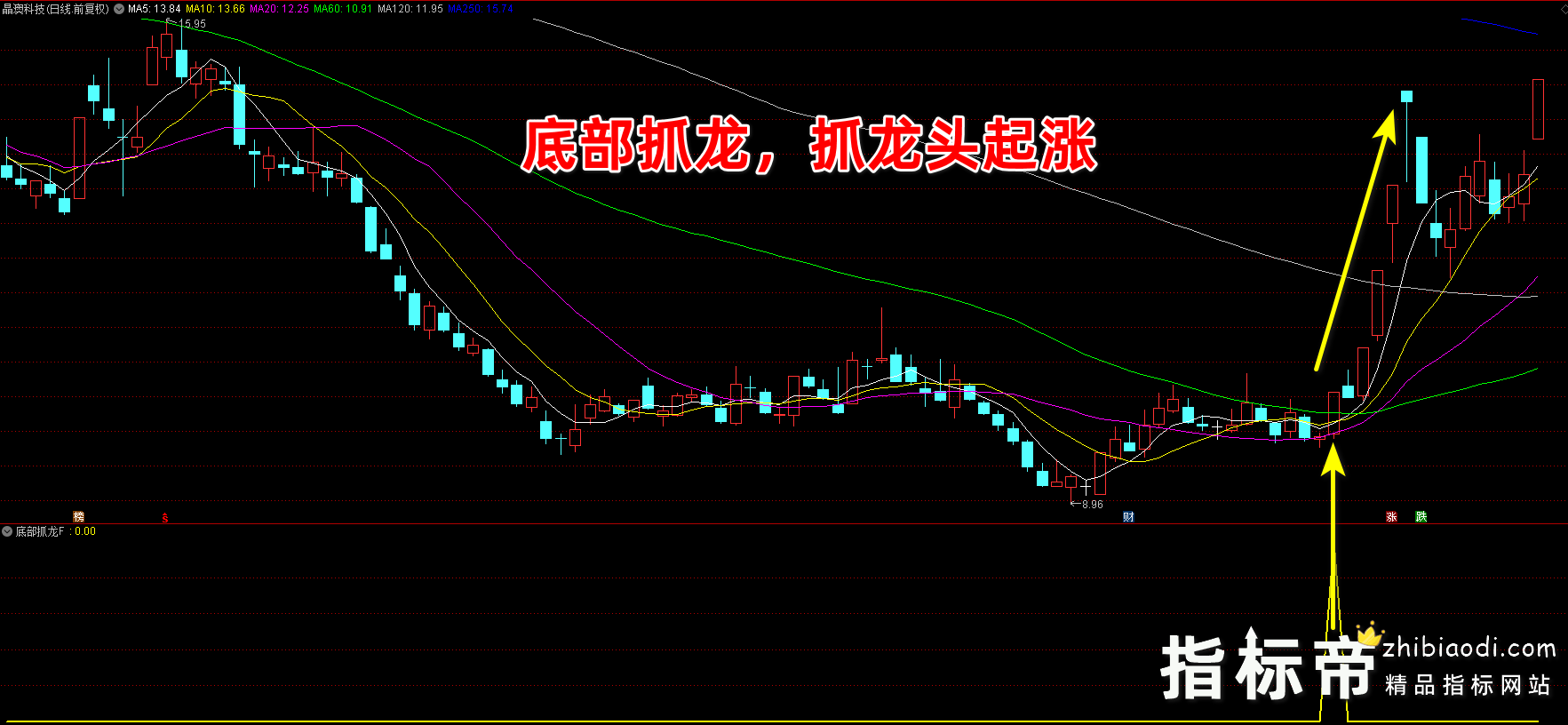 底部抓龙指标